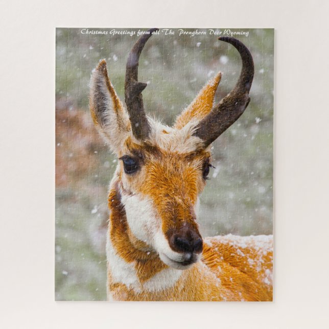 Pronghorn Deer Wyoming. Weihnachtsgrüße Puzzle (Vertikal)