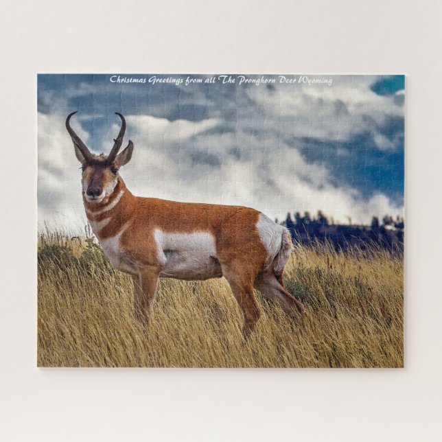 Pronghorn Deer Wyoming. Weihnachtsgrüße Puzzle (Horizontal)