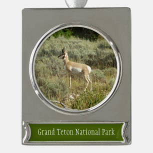 Pronghorn im Grand Teton Nationalpark Banner-Ornament Silber