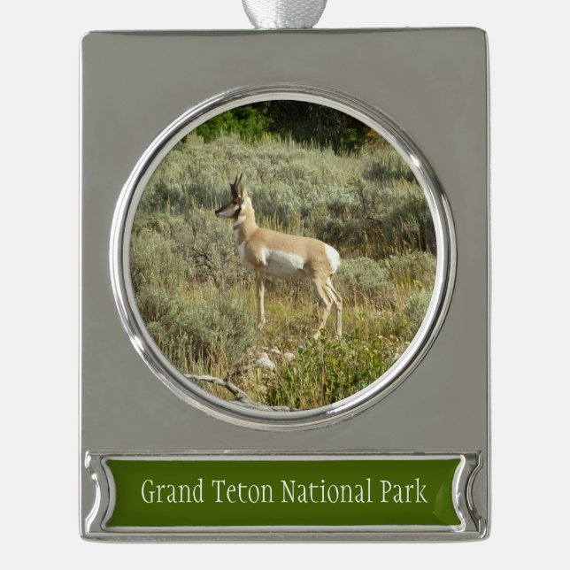 Pronghorn im Grand Teton Nationalpark Banner-Ornament Silber (Vorderseite)