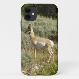 Pronghorn im Grand Teton Nationalpark Case-Mate iPhone Hülle