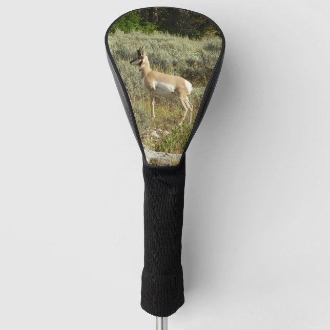 Pronghorn im Grand Teton Nationalpark Golf Headcover (Vorderseite)