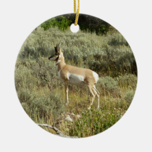 Pronghorn im Grand Teton Nationalpark Keramikornament
