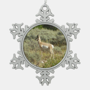 Pronghorn im Grand Teton Nationalpark Schneeflocken Zinn-Ornament
