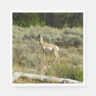 Pronghorn im Grand Teton Nationalpark Serviette