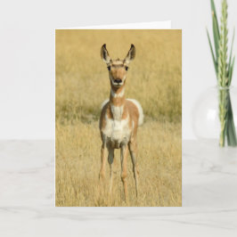 Pronghorn Notecard Karte