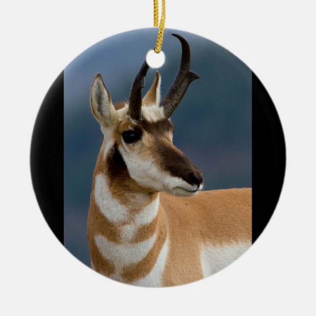 Pronghorn Porträt Keramik Ornament (Vorne)