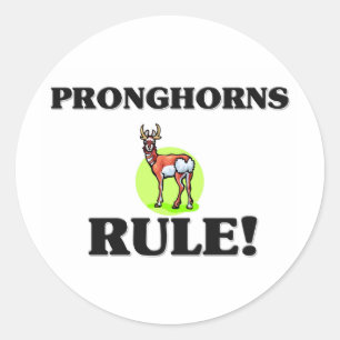 PRONGHORNS Regel! Runder Aufkleber