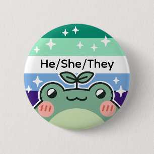 Pronoun Gay MLM Pride Flag Frosch Button