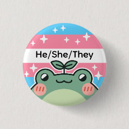 Pronoun Transgender-Flag-Frosch Button