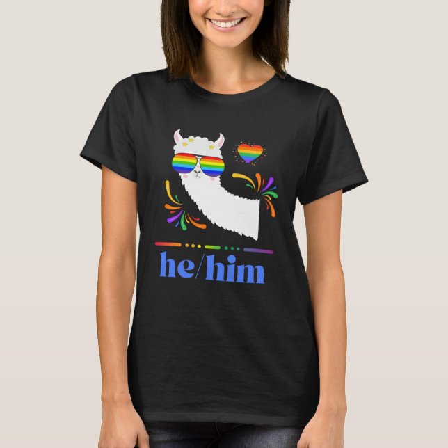 Pronouns He Him Gay Pride Rainbow Groovy Lllama Re T-Shirt (Vorderseite)