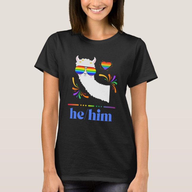 Pronouns He Ihm Gay Pride Rainbow Groovy Lllama Re T-Shirt (Vorderseite)