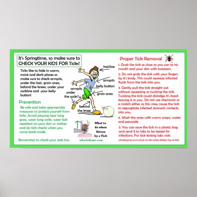 Proportionale Tick Removal Poster Lyme Prävention (Vorne)