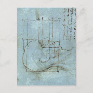 Proportionen des Kopfes 1488 1489 ) ist ein zeichn Postkarte