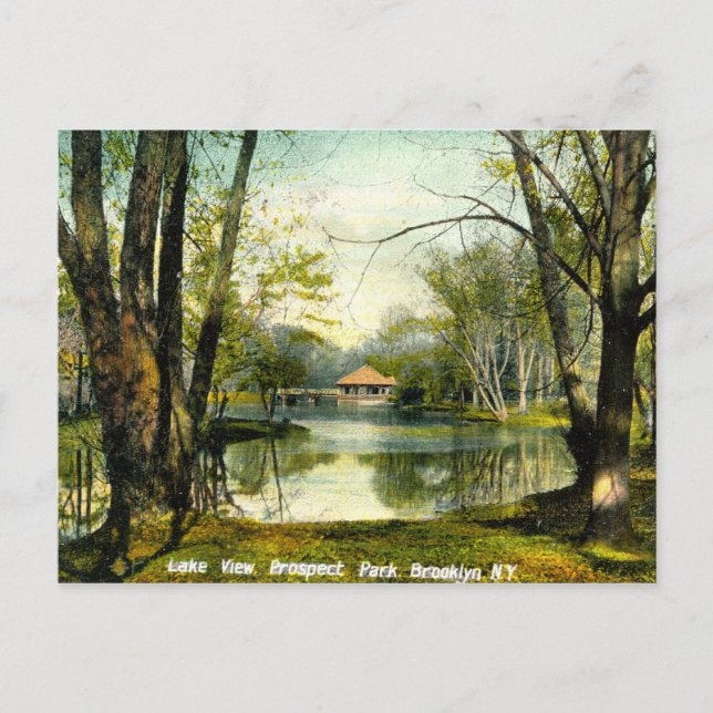 Prospect Park, Brooklyn NY, 1908 Vintag Postkarte (Vorderseite)