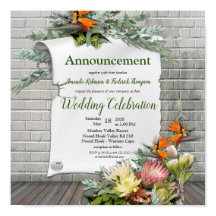 Protea - Ankündigung der Blume Strelitzia