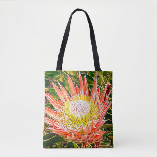 Protea Australische Blumenfotografie