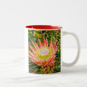 Protea Australische Blumenfotografie Zweifarbige Tasse