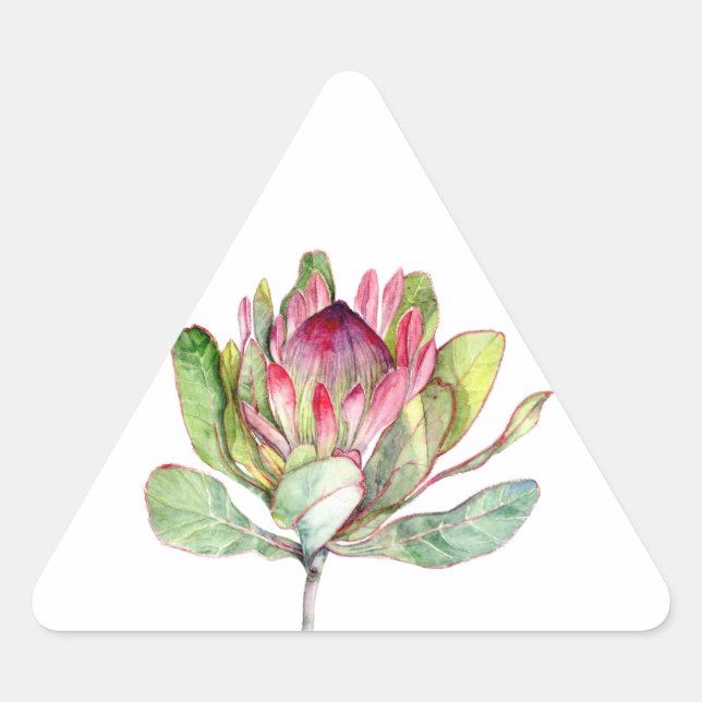 Protea-Blume Dreieckiger Aufkleber (Vorderseite)