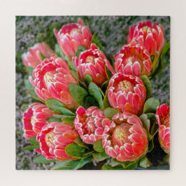 Protea Blume   Foto 20' x 20' 676 Stück Puzzle