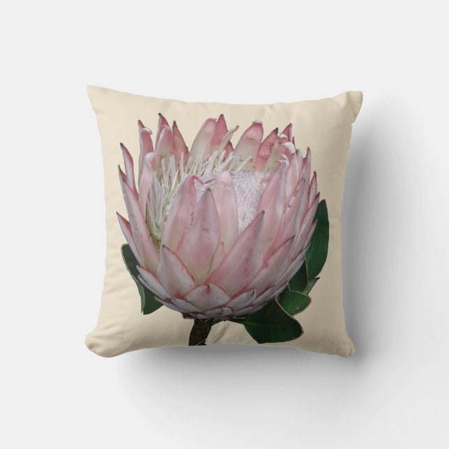 Protea Blume Ice-Creme Kissen (Vorderseite)