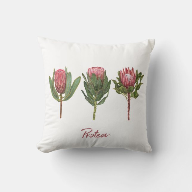 Protea-Blume Kissen (Vorderseite)