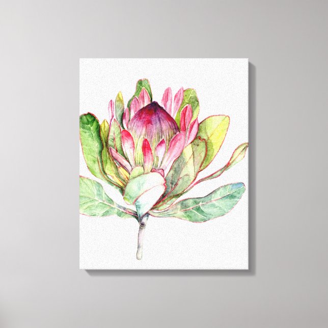 Protea-Blume Leinwanddruck (Vorderseite)