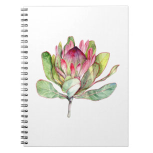 Protea-Blume Notizblock