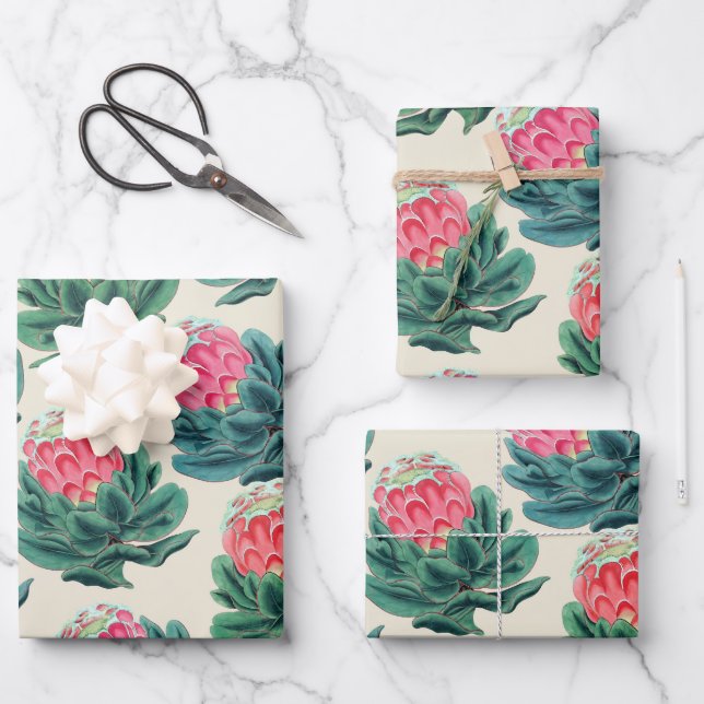 Protea Blume Pattern Geschenkpapier Set (Vorderseite)
