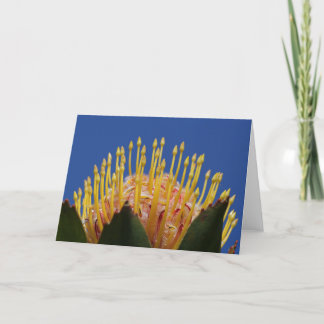 Protea-Blumenkarte Karte