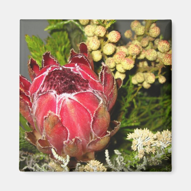 Protea Bouquet Magnet (Vorne)