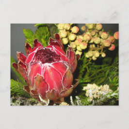 Protea Bouquet Postkarte