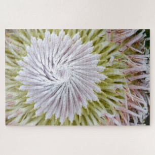 Protea cynaroides König-Protea. Puzzle