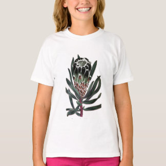 Protea Lepidocarpon T-Shirt
