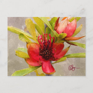Protea Liebe Postkarte