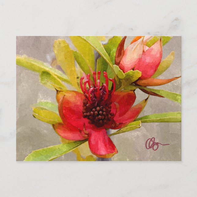 Protea-Liebe Postkarte (Vorderseite)