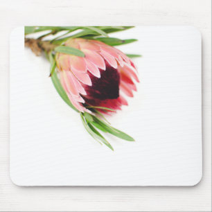 Protea Mousepad