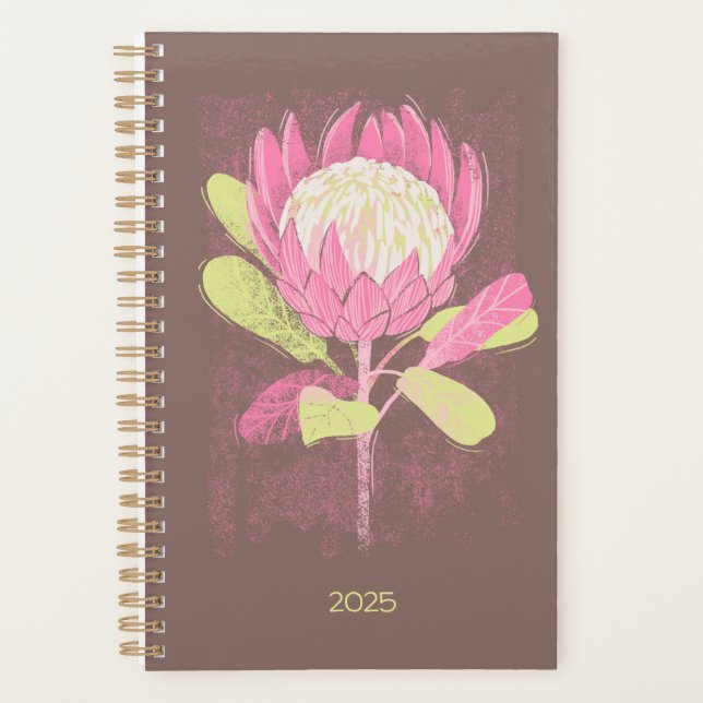 Protea Planer (Vorderseite)