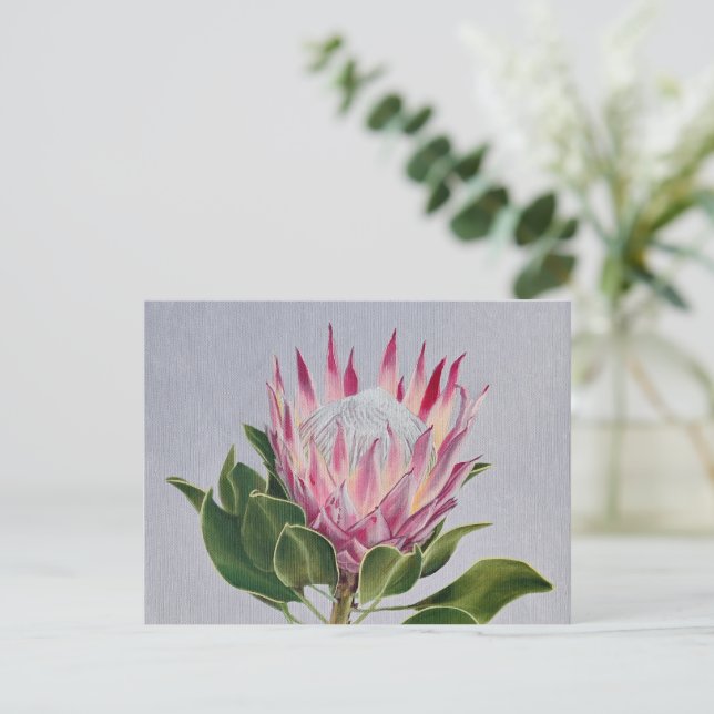 Protea Postcard Postkarte (Stehend Vorderseite)