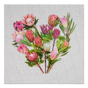 Protea Poster