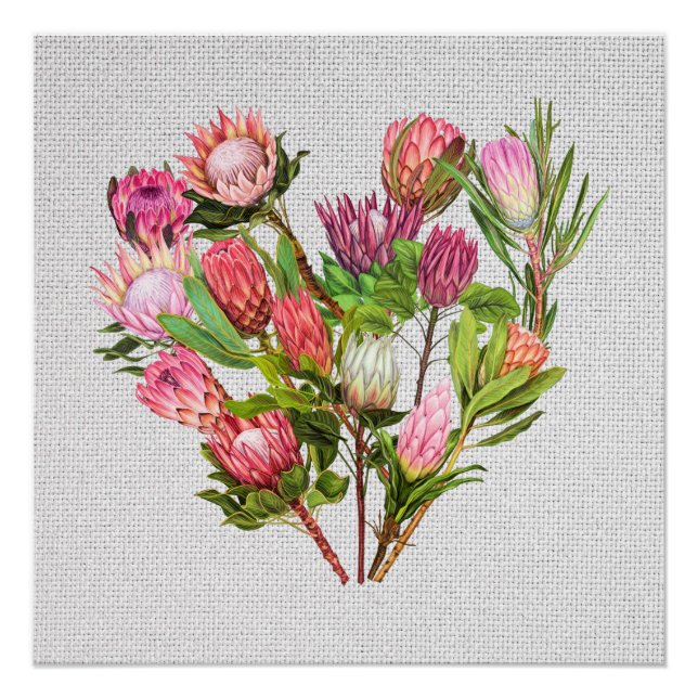 Protea Poster (Vorderseite)