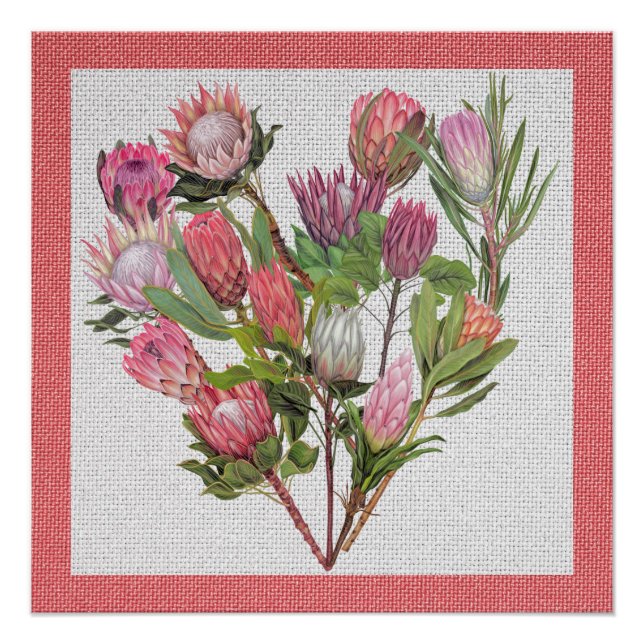 Protea Poster (Vorderseite)