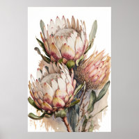 Protea Sugarbushes Blume Art Print Poster