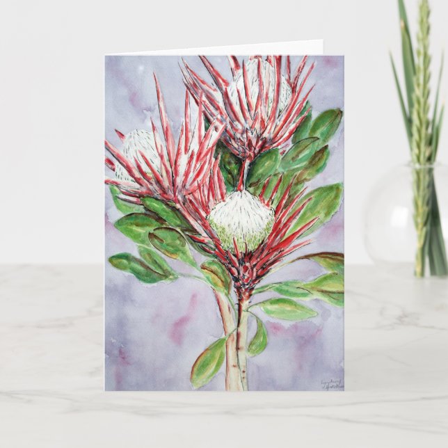 Proteas Feiertagskarte (Vorderseite)