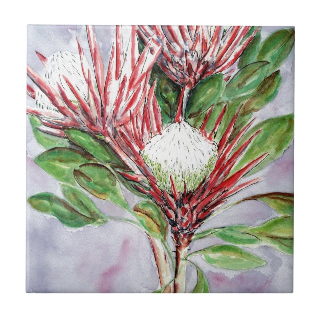 Proteas Fliese (Vorderseite)