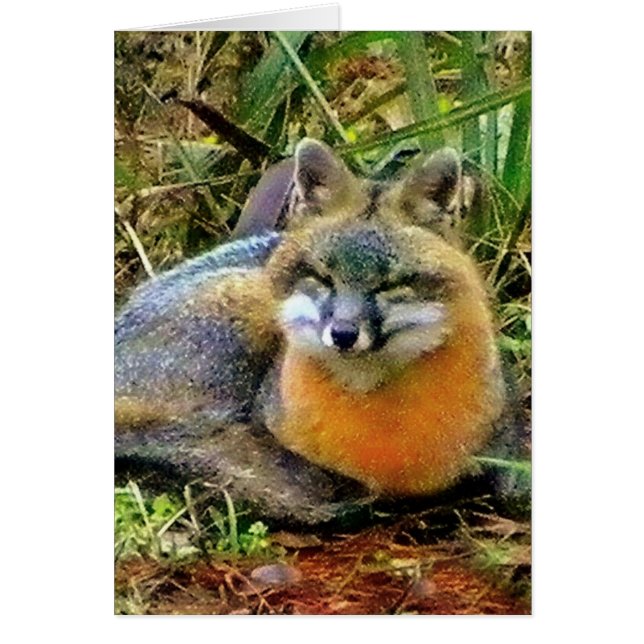 PROTECT WILDLIFE (Vorne)