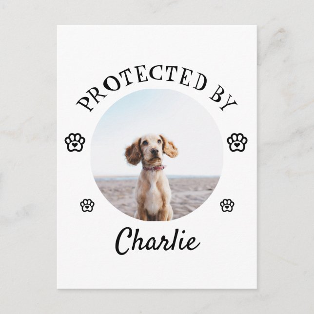 Protected By Dog Photo Paw Print Design Postkarte (Vorderseite)