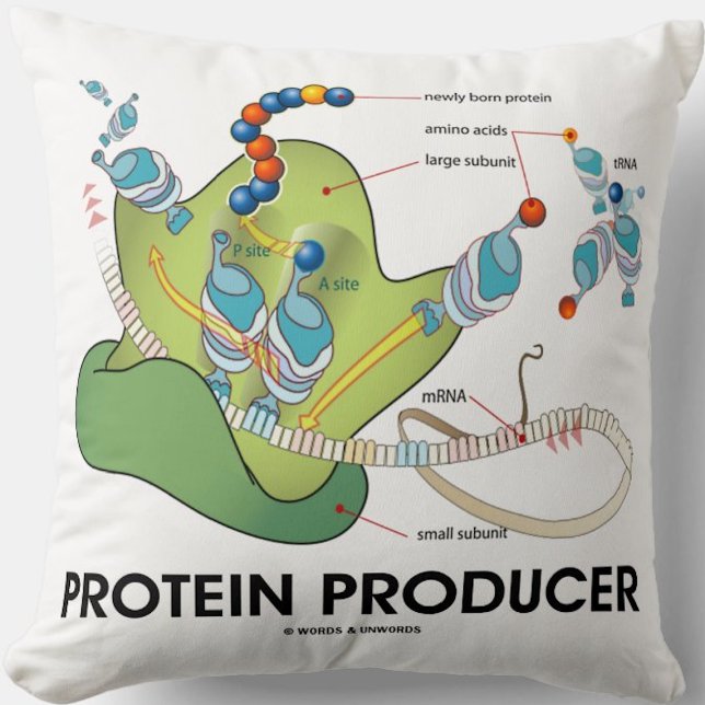 Protein Producer mRNA tRNA Protein Synthese Kissen (Molecular biology throw pillow for anyone who produces proteins - and that means you!)