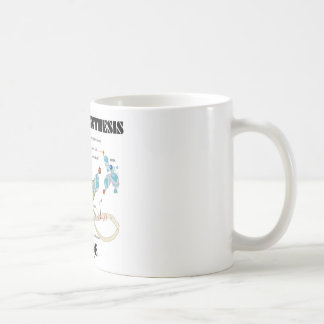 Protein-Synthese-Innere (Zellbiologie) Tasse