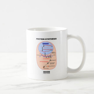 Protein-Synthese-Innere (Zellen-Prozessdiagramm) Tasse